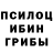 Псилоцибиновые грибы Psilocybe STELICH