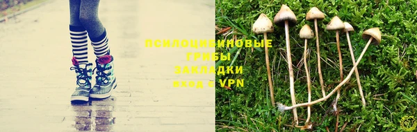 дурь Арсеньев