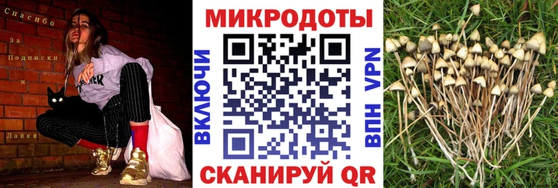 где найти наркотики  Фролово  Псилоцибиновые грибы Cubensis 